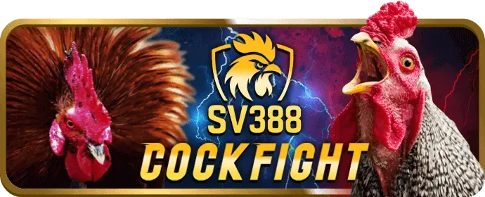 Các loại dữ liệu u888vip thu thập và lý do